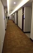 Туры в отель Bilan Riverside Hotel (Chongqing Bishan)