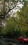 Туры в отель Home Inn Neo (Hangzhou West Lake Hubin Zhonghe Middle Road)