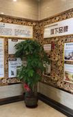 Туры в отель PinshangYi Hotel