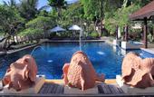 Туры в отель Le Vimarn Cottages & Spa
