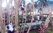 Туры в отель Yabuli Forest Hot Spring Hotel