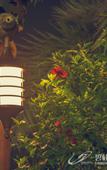 Туры в отель Country Garden Hot Spring Hotel Huizhou