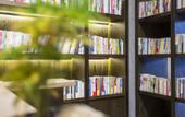 Туры в отель Shenzhen Shanhai Langhua Hotel (Nanshan Science Park Branch)