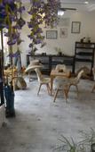 Туры в отель Junjie Lvren Inn