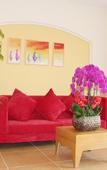 Туры в отель Homeinn Hotel (Shanghai Pudong Xinchang Industrial Park Tanzhi Town)