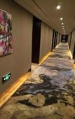 Туры в отель Aisite Madison Hotel (China Harbin Ice And Snow World)