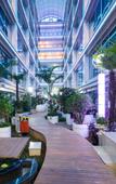 Туры в отель Vienna International Hotel (Shijiazhuang Zhonghua North Street)