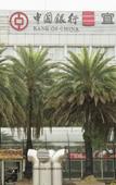 Туры в отель Echarm Hotel (Guilin City Center Xiangbi Mountain Scenic Area)
