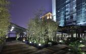 Туры в отель Borrman Hotel (Chengdu Chunxi Road Tianfu Plaza Metro Station)