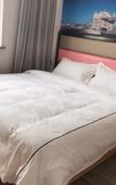 Туры в отель Holiday Inn on Sunday (Shanghai New International Expo Center)