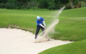 Туры в отель Zhuhai Jinwan Golf Hotel (Jinwan Huafa Shangdu Branch)