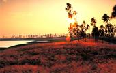Туры в отель Zhuhai Jinwan Golf Hotel (Jinwan Huafa Shangdu Branch)