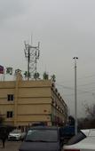 Туры в отель Shell Hotel (Gingko Road, Hefei)