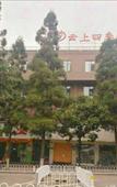 Туры в отель Fairyland Hotel (Kunming Ciba Main Street Botanical Garden)