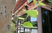 Туры в отель Shangquan Lishe (Ji'nan Daminghu Scenic Area)