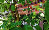 Туры в отель Shangquan Lishe (Ji'nan Daminghu Scenic Area)