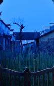 Туры в отель Floral Hotel · Leisurely Life Wuyuan
