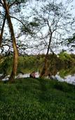 Туры в отель Floral Hotel · Leisurely Life Wuyuan