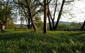 Туры в отель Floral Hotel · Leisurely Life Wuyuan