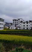 Туры в отель Floral Hotel · Leisurely Life Wuyuan