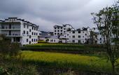 Туры в отель Floral Hotel · Leisurely Life Wuyuan