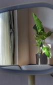 Туры в отель Lujiang Mega Hotel