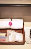 Туры в отель Lujiang Mega Hotel