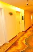 Туры в отель Vienna International Hotel (Xining Chengbei Wuyue Plaza Store)