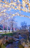 Туры в отель Pusen Lanting ShaoXing