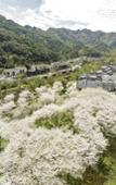 Туры в отель Pusen Lanting ShaoXing