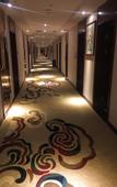 Туры в отель Shuhan Yinxiang Hotel