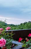 Туры в отель Homeinn Selected Hotel (Hangzhou Ocean Park Xianghu)