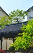 Туры в отель Nanxun Jiangnan Courtyard Resort(Nanxun Ancient Town)