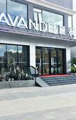 Туры в отель Lavande Hotel (Shenzhen Bantian Metro Station Vanke Plaza Branch)