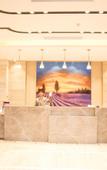 Туры в отель Lavande Hotel (Shenzhen Bantian Metro Station Vanke Plaza Branch)