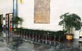 Туры в отель Mingzhu Hotel