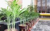 Туры в отель Mingzhu Hotel
