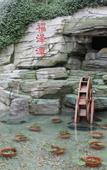 Туры в отель Shungeng Manor Ecological Park