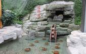 Туры в отель Shungeng Manor Ecological Park