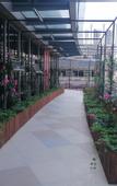 Туры в отель Rose Art Hotel (Ningbo Beilun Yintai City Store)