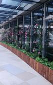 Туры в отель Rose Art Hotel (Ningbo Beilun Yintai City Store)