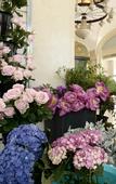 Туры в отель CREYADHOTEL