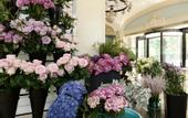 Туры в отель CREYADHOTEL