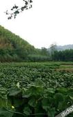 Туры в отель Anji Meilin  Resort