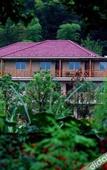 Туры в отель Anji Meilin  Resort