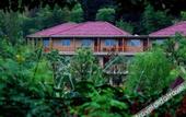 Туры в отель Anji Meilin  Resort