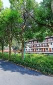 Туры в отель Anji Meilin  Resort