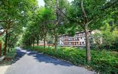 Туры в отель Anji Meilin  Resort