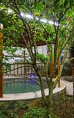 Туры в отель Anji Meilin  Resort