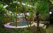 Туры в отель Anji Meilin  Resort
